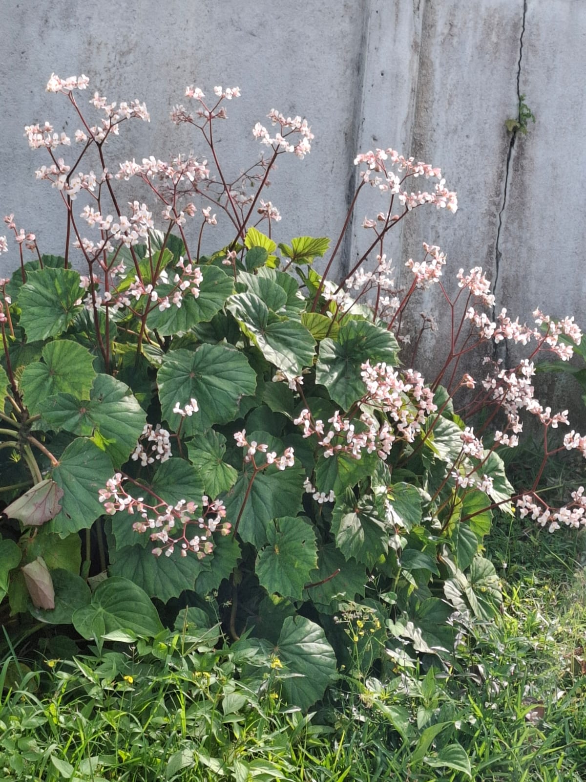 HUMAN RESOURCE TRAINING (HR)